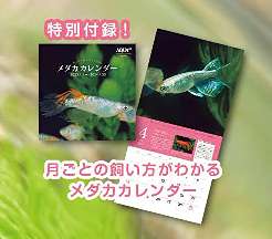 アクアライフ 2023年5月号 ポロロッカ足柄