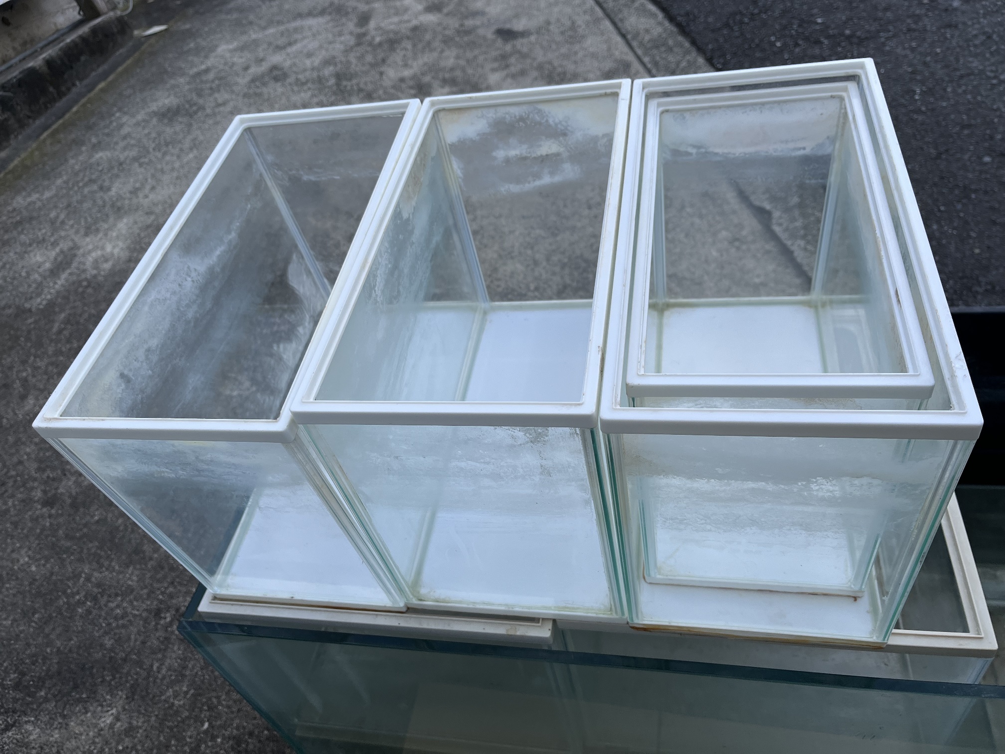 中古水槽 ポロロッカ足柄