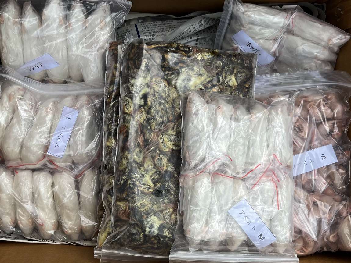 冷凍飼料 ポロロッカ足柄