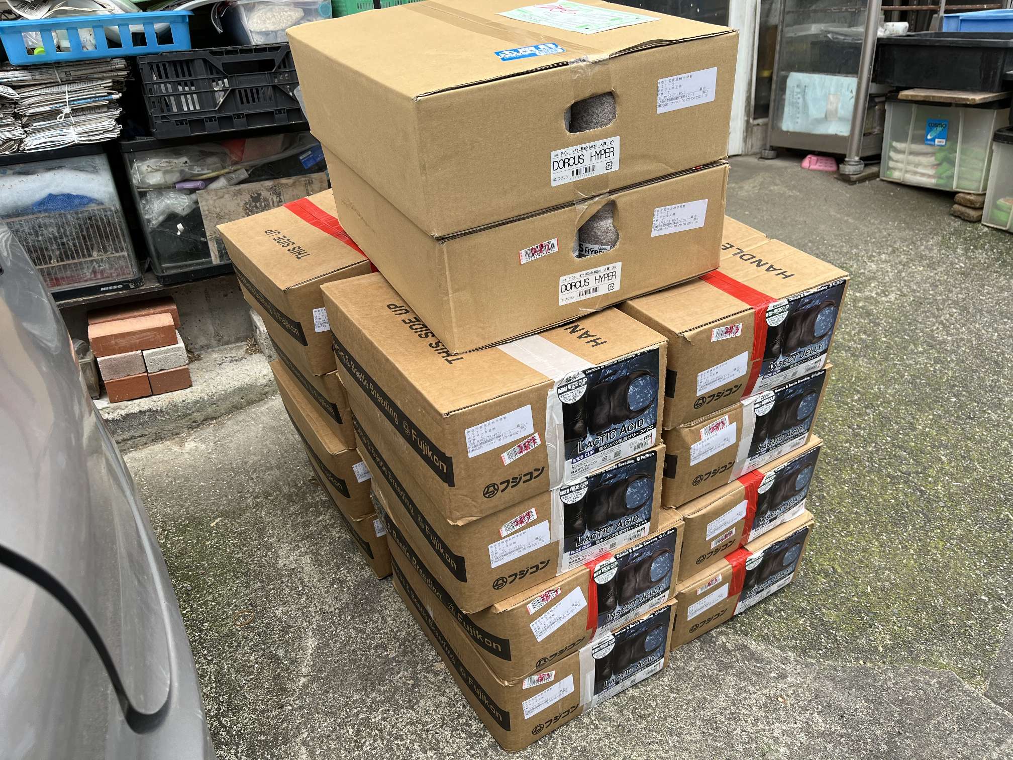 昆虫用品 ポロロッカ足柄