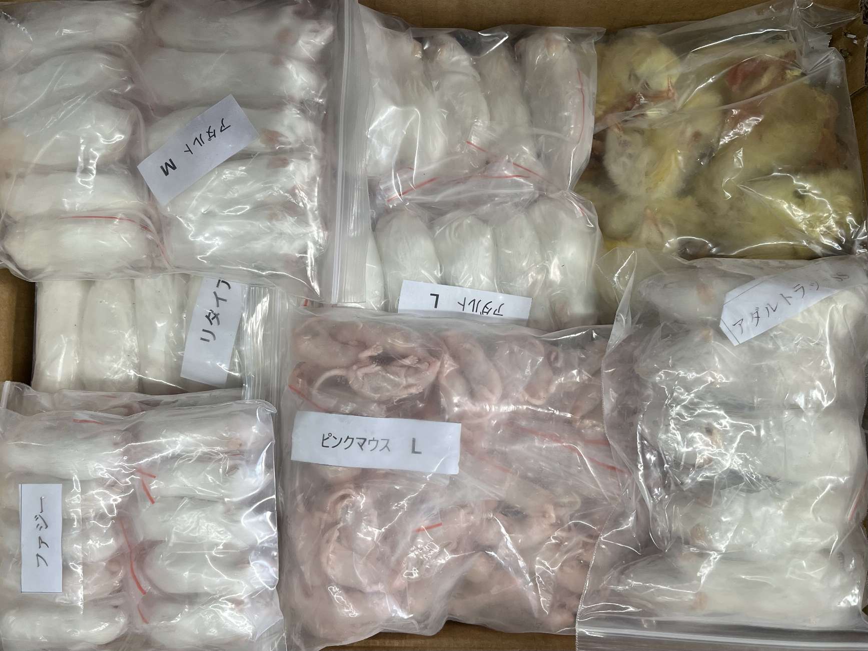 冷凍飼料 ポロロッカ足柄