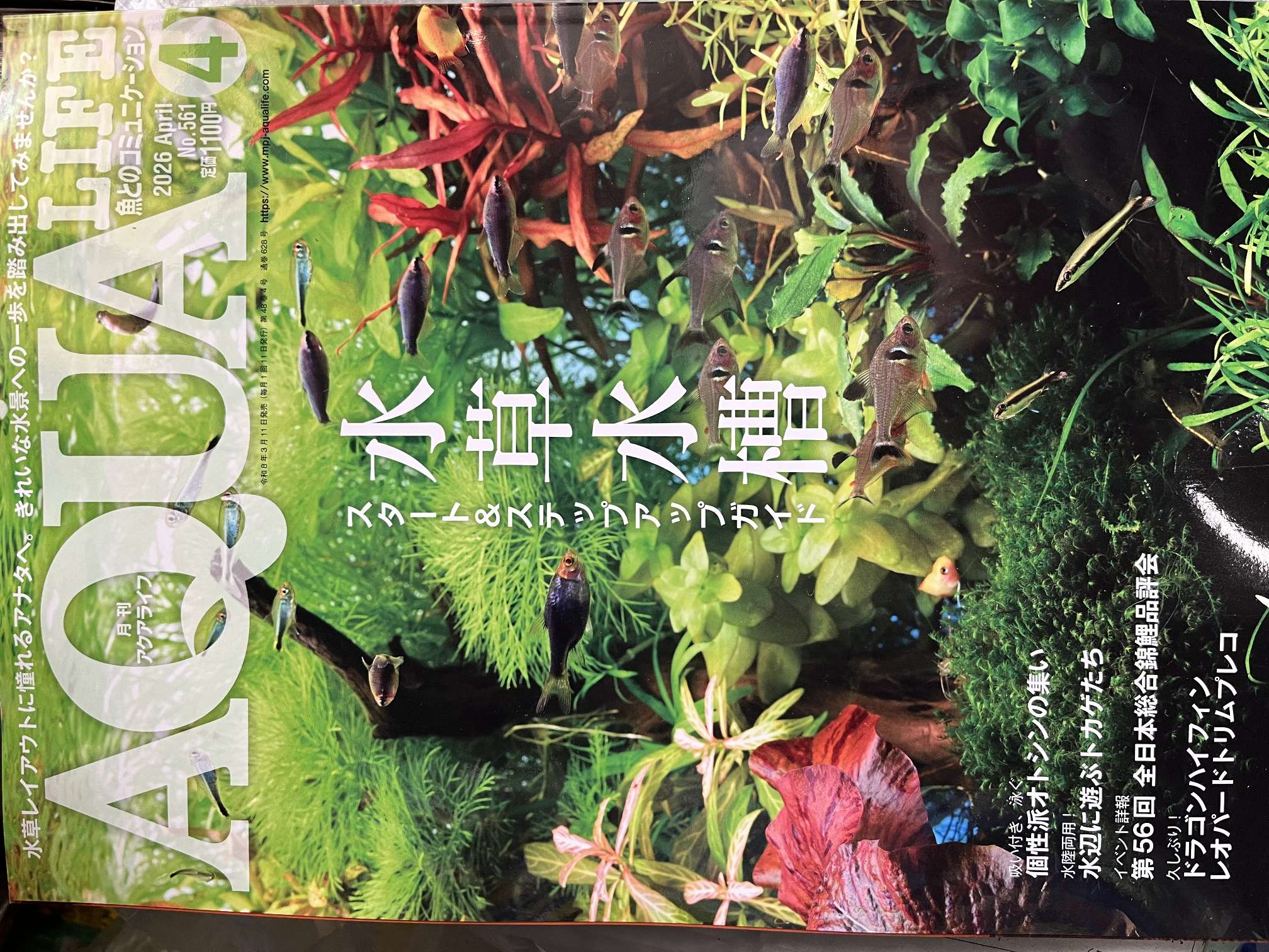 アクアライフ 2026年4月号 ポロロッカ足柄