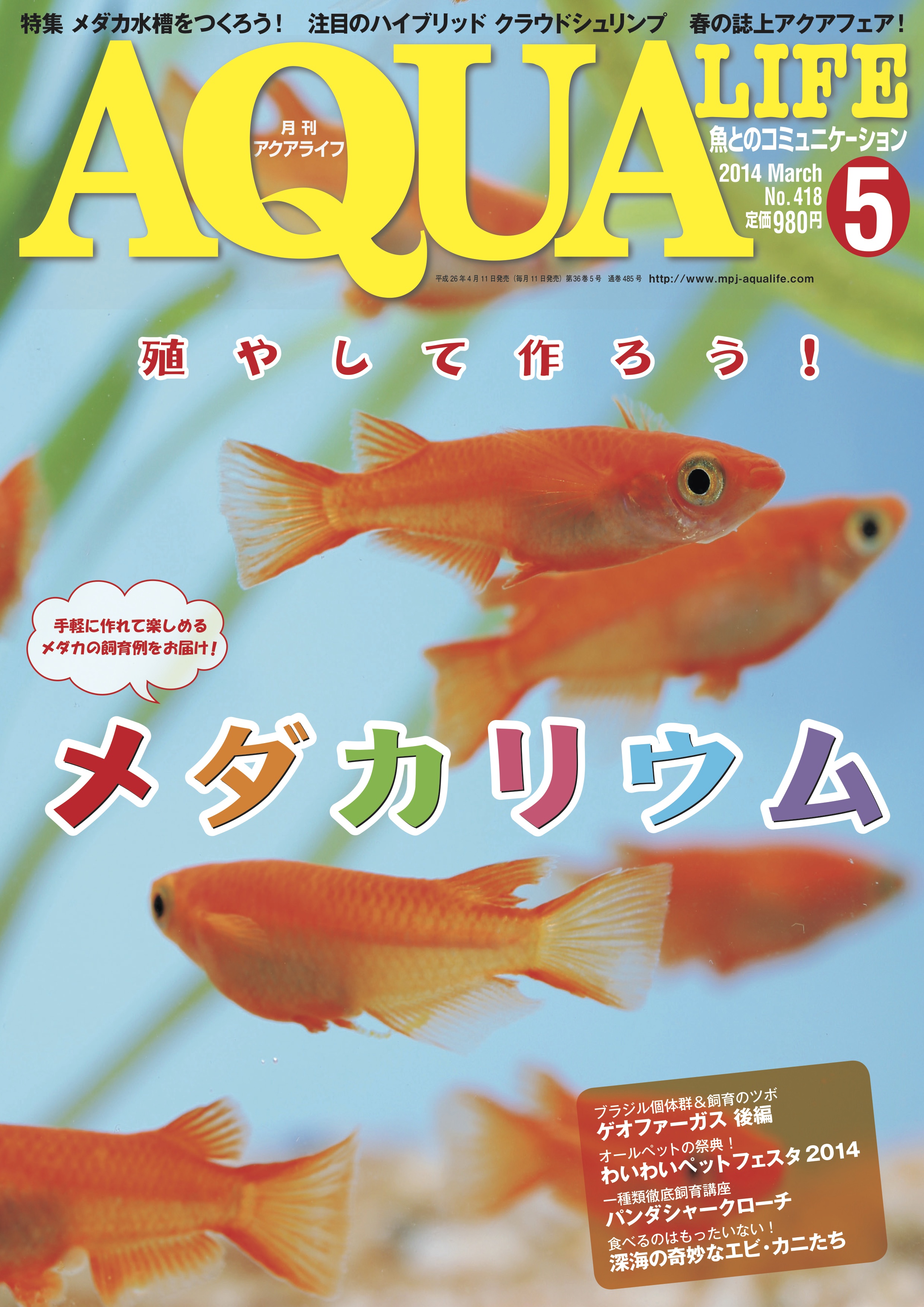 アクアライフ5月号 ポロロッカ足柄