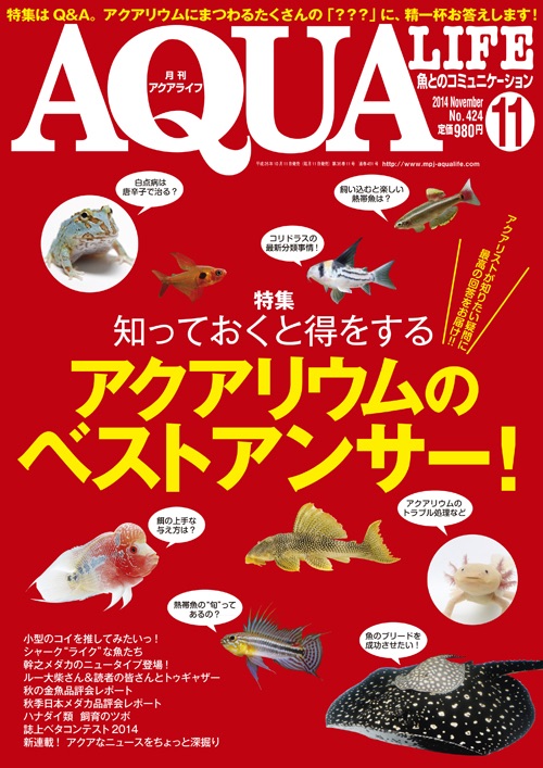 アクアライフ 11月号 ポロロッカ足柄