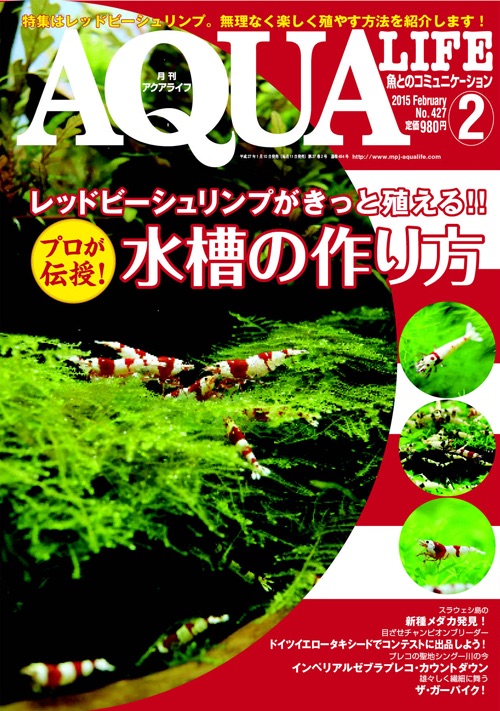 アクアライフ2月号 ポロロッカ足柄