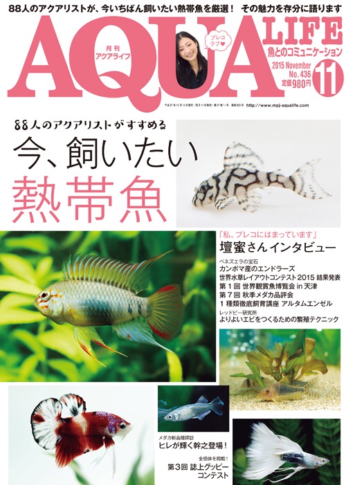 アクアライフ 11月号 ポロロッカ足柄