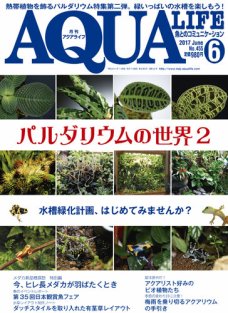 アクアライフ 6月号 ポロロッカ足柄