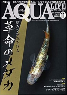 アクアライフ2018年11月号 ポロロッカ足柄