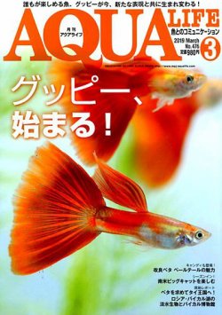 アクアライフ2019年3月号 ポロロッカ足柄