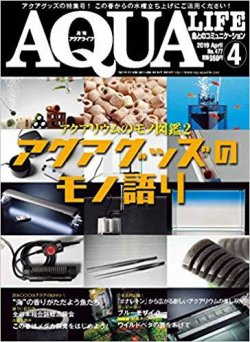 アクアライフ 2019年4月号 ポロロッカ足柄