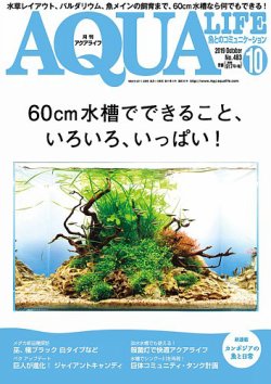 アクアライフ 2019年10月号 ポロロッカ足柄