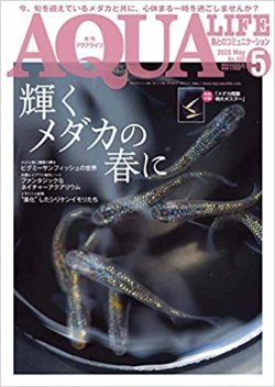 アクアライフ 2020年5月号 ポロロッカ足柄