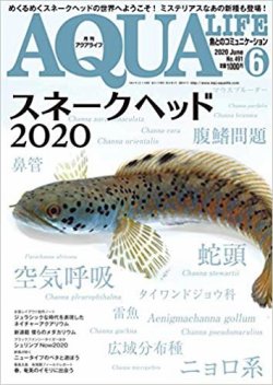 アクアライフ 2020年6月号 ポロロッカ足柄