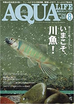 アクアライフ2020年8月号 ポロロッカ足柄