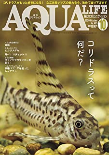 アクアライフ2020年10月号 ポロロッカ足柄