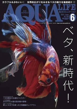 アクアライフ2021年6月号 ポロロッカ足柄