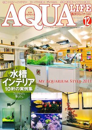 アクアライフ 2021年12月号 ポロロッカ足柄