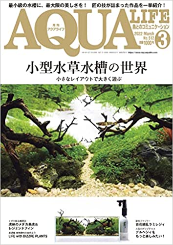 アクアライフ 2022年3月号 ポロロッカ足柄