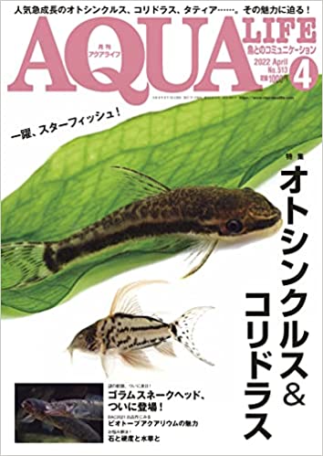 アクアライフ2022年4月号 ポロロッカ足柄