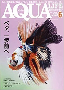 アクアライフ 2022年6月号 ポロロッカ足柄