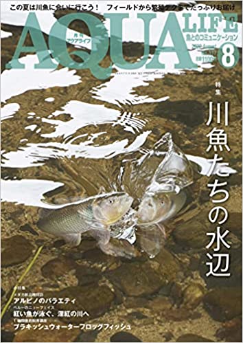 アクアライフ2022年8月号 ポロロッカ足柄