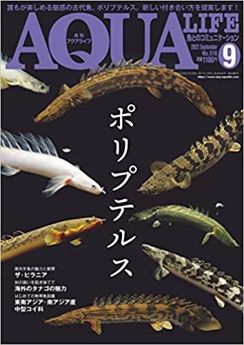 アクアライフ 2022年9月号 ポロロッカ足柄