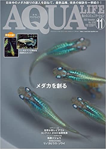 アクアライフ 2022年11月号 ポロロッカ足柄