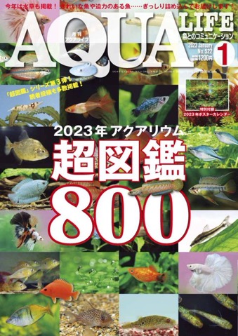 アクアライフ 2023年1月号 ポロロッカ足柄