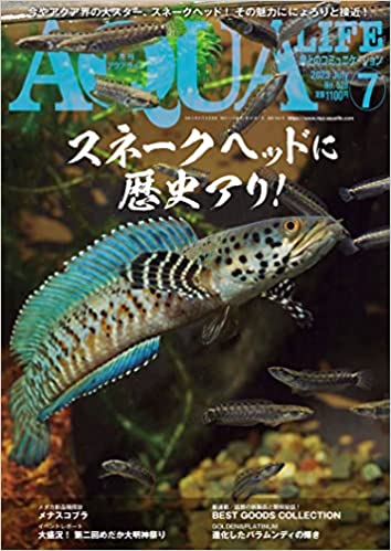 アクアライフ2023年7月号 ポロロッカ足柄