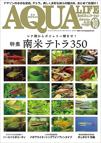 アクアライフ2023年10月号 ポロロッカ足柄