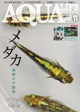 アクアライフ 2023年11月号 ポロロッカ足柄