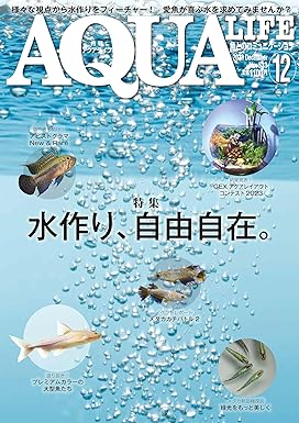 アクアライフ 2023年12月号 ポロロッカ足柄