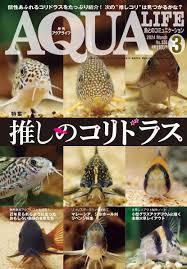 アクアライフ 2024年3月号 ポロロッカ足柄