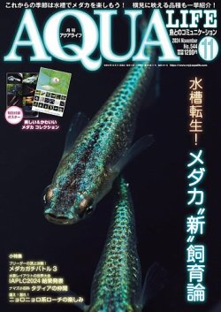 アクアライフ 2024年11月号 ポロロッカ足柄